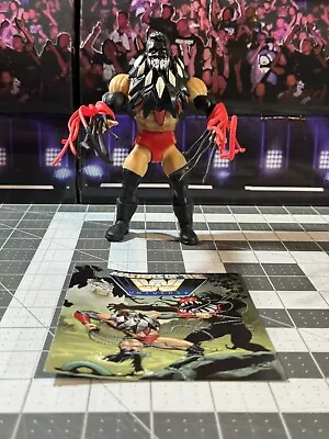 Wwe Masters Of The Universe Finn Balor • $20