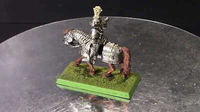 (WM) Pro-Painted Knight On Armoured Horse • $4.99