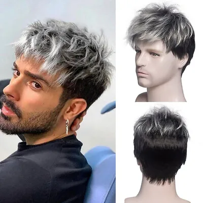 Men's Silver Gray Gradient Small Curly Short Hair Wig Sets Dark Gray Brown_xi • $14.50