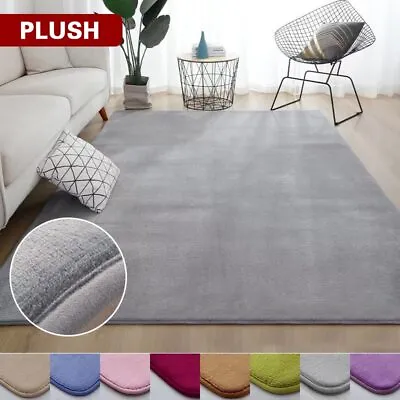 Thick Coral Velvet Carpet Modern Area Carpet Modern Bedroom Bedside Rug • $76.43