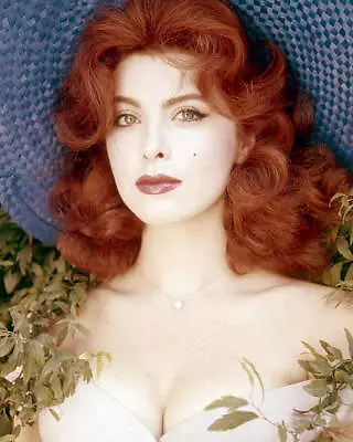 American Actress And Singer Tina Louise Circa 1965 Old Movie Photo 1 • $9