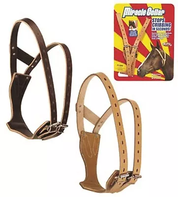 Weaver Leather MEDIUM HORSE MIRACLE COLLAR Stops Cribbing In Seconds 2 COLORS! • $69.99