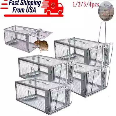 1-4X Live Humane Cage Trap For Squirrel Chipmunk Rat Mice Rodent Animal Catcher • $14.20