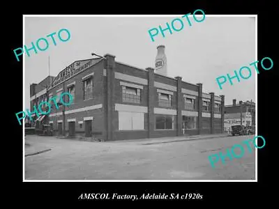 OLD 8x6 HISTORIC PHOTO OF ADELAIDE SA AMSCOL MILK & DAIRY Co FACTORY C1920s • $9