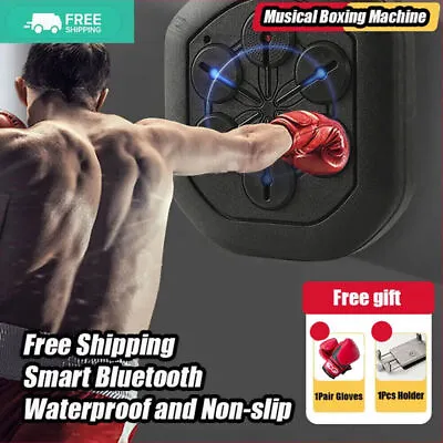 Home Gym Electronic Wall Target Music Boxing Combat Bluetooth APP LED For Adult  • $142.87