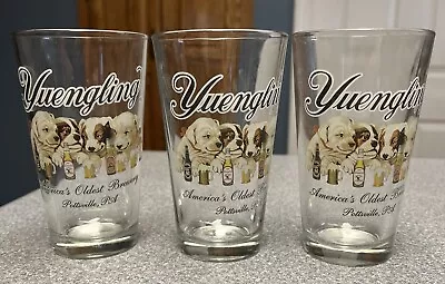 YUENGLING America's Oldest Brewery Dog 16 Oz Beer Glasses SET Of 3 VIBRANT LOGO • $25