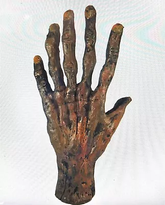 Bizarre! 6 Finger Mummified Mummy Hand Gaff Curriosity Medical Specimen Oddity! • $29.99