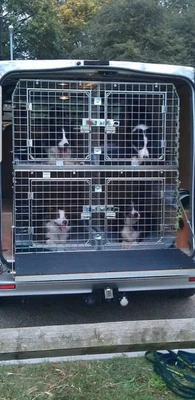 £650 • Buy Trystorme Van Dog Crates / Cages 