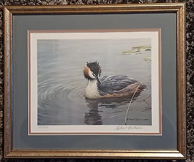 $495 • Buy GREAT CRESTED GREBE By Robert Bateman Signed Limited Edition Print #246/950