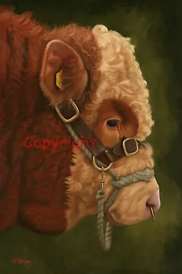 £28 • Buy Simmental Bull Farm Cattle Canvas Wall Art Picture Print Artist Keith Glasgow