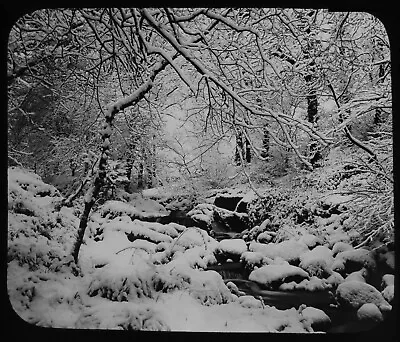 £15 • Buy Magic Lantern Slide THE GLEN IS WHITE WITH DRIFTED SNOW C1890 PHOTO SNOW STUDY