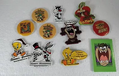 Lot Of 11 Vintage Looney Tunes Cartoon Fridge Magnets Taz Tweety Coyote • $17.99