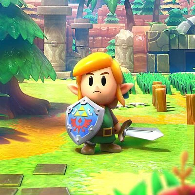 $10.99 • Buy Awakening Link Amiibo Coin Amiiqo Breath Of The Wild - NOT Figurine/statue 