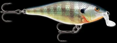 Rapala Shallow Shad 2-3/4'' 1/4oz Fishing Lure Free Shipping Within Us • $14.99