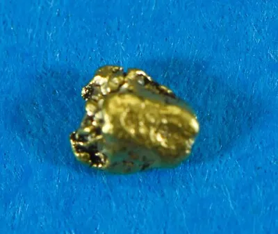 Alaskan-Yukon BC Gold Rush Natural Gold Nugget 0.10 Grams 10 Piece Lot Genuine • $118.06