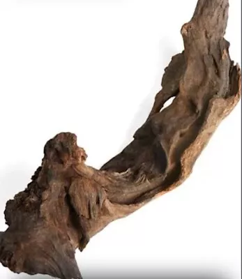 #D5 Manzanita Driftwood Aquarium Fish Reptile Bird Perch Habitat Decor • $20.99