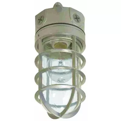 100W Vapor Tight Haymow LightNo VT100G  Cooper Lighting • $35.26