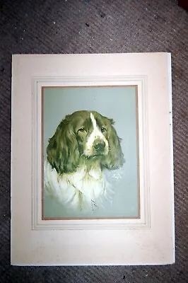 Arthur Wardle Dog Prints • £25