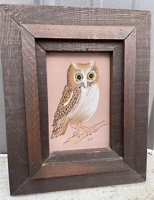 Vintage Owl Painting Art Picture Wall Decoration NL • $50