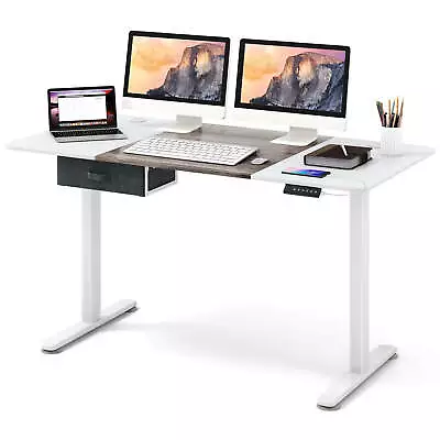 Electric Standing Desk W/Memory Preset Controller 2 Cable Management Holes Gray • $169.99