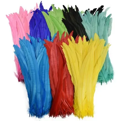 20 Super Large Long Rooster Feathers Sword Feathers Rainbow 22-30cm/10-12  Craft • £7.49