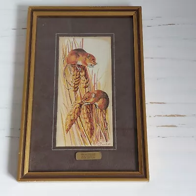 Vintage Harvest Mouse Framed Picture Woven Silk Rayon J & J Cash Wildlife  • £15