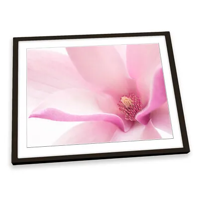 Pink Magnolia Flower Floral FRAMED ART PRINT Picture Artwork • $53.45