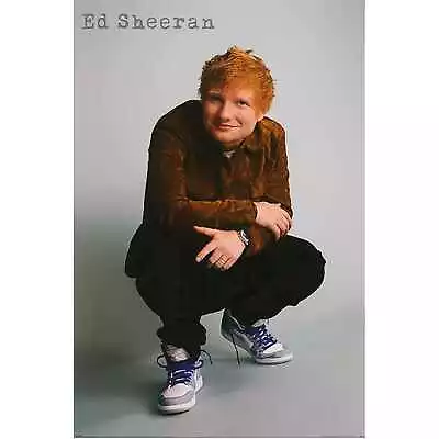 Ed Sheeran Bedroom Poster Pop Music Musician Singer Party Backdrop 61 X 91.5cm • $14.99