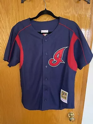 Mitchell & Ness Omar Vizquel 2004 Indians MLB Button Front BP Jersey Men L $130 • $49.99