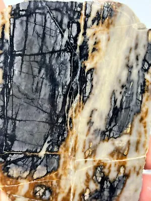 Picasso Marble (Jasper) Rough Slab Cabbing Lapidary Reiki Chakra Utah • $17