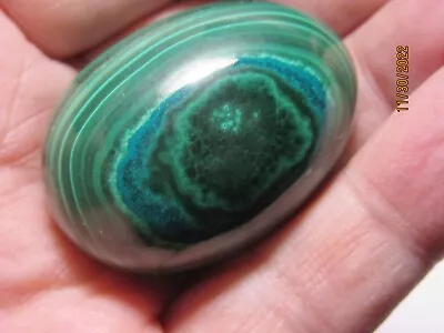 AAA Malachite Polished EGG Healing Gemstone Collectible Reiki MPE-1-18 • $14