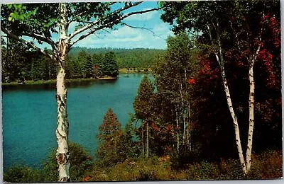 Postcard NY Middletown Crystal Clear Lake • $4.99