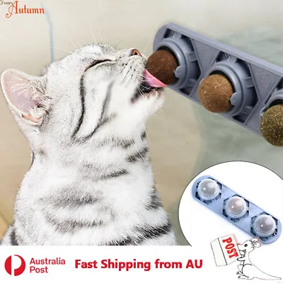 3 Balls Cat Catnip Silvervine Matatabi Molar Gall Fruit Lick Snack Dental Toy • $14.99