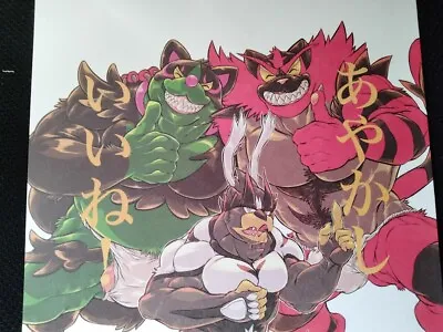 POKEMON Doujinshi Incineroar X Urshifu X Okidogi (B5 24pages) Ayakashi Iine • $39.99