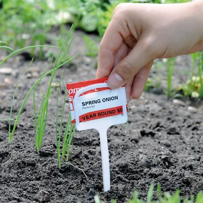 T&M Plant Labels Plastic Outdoor Indoor Garden T Pack Of 10 Or 50 • £6.99