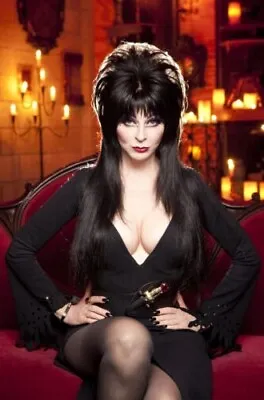 Vintage Halloween Elvira Photo 2522 Oddleys Strange & Bizarre • $7.77
