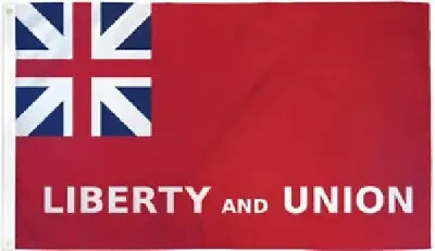 Taunton Flag 3x5ft Taunton Massachusetts Flag Liberty & Union Historical Flag • $9.88