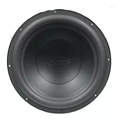 WF1042 10” 4 Ohm Replacement Woofer For BT1014 • $79.99