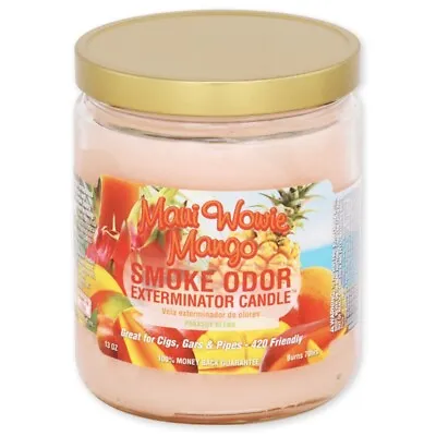 Smoke Odor Exterminator Candle Maui Wowie Mango Year-Round 13oz Jar Candle • $10