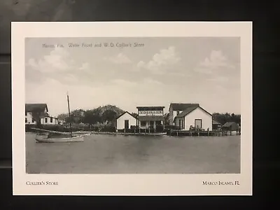 Postcard Unposted Florida Marco Island- Collier’s Store -repro • $5