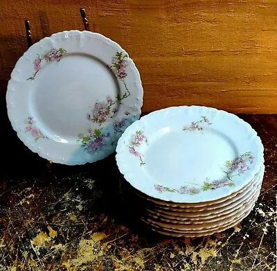 Set Of Ten Mz  Austria Habsburg China Bread And Butter Plates • $45