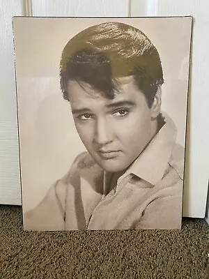 Elvis Presley Print Canvas 11x14 • $8