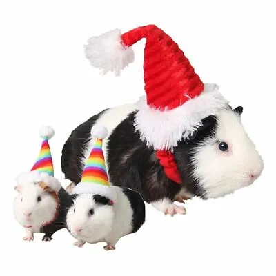 Pets Christmas Hat Cap Accessory For Rabbit Hamster Guinea Pig Rat Small Animals • £5.44