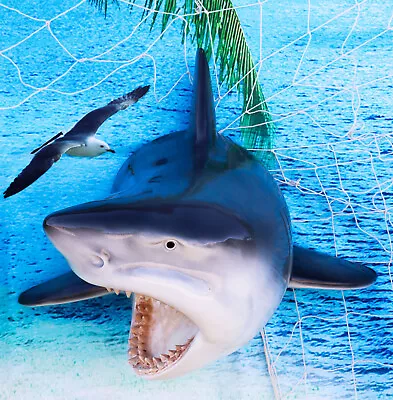 Beware Of Great White Shark Jaws Mako Predator Wall Mount Plaque Figurine Decor • $79.95