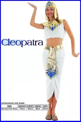 CLEOPATRA COSTUME Egypt Nile Queen Pharaoh Roman Fancy Dress Party WOMEN 1 Size • $29.95
