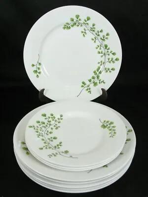 Maidenhair Fern Green By Martha Stewart 6 Dinner 11 1/4  & 3 Salad 9  Plates • $299.99