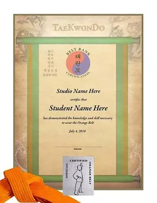 Martial Arts Certificates - TaeKwonDo & Karate Rank Certificates - Pack Of 10 • $18.99