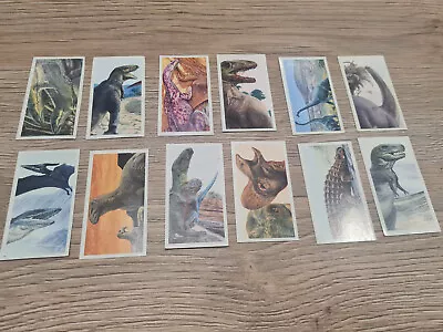 £3 • Buy 12 Of 20 : BROOKE BOND Tea Cards : 1993 RARE? THE  DINOSAUR TRAIL  - BLACK BACK