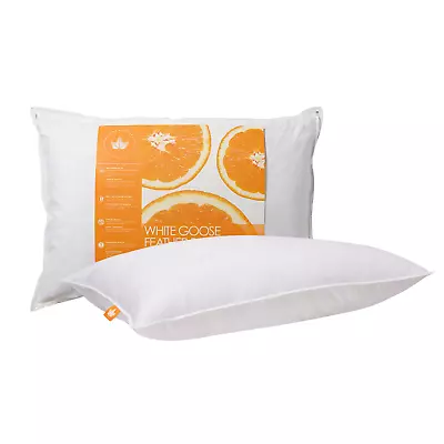 Canadian Down & Feather Co - White Goose Feather Pillow - 100% Cotton • $24