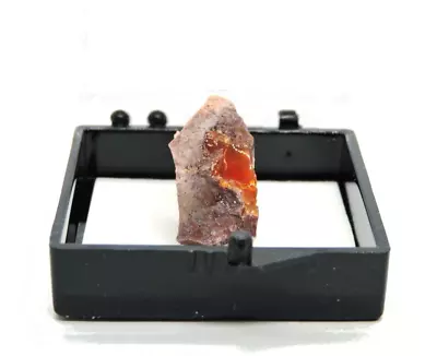 Bright Orange Fire Opal *Magdalena Area Mexico* • $4